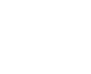 广东省友信速航国际物流有限公司